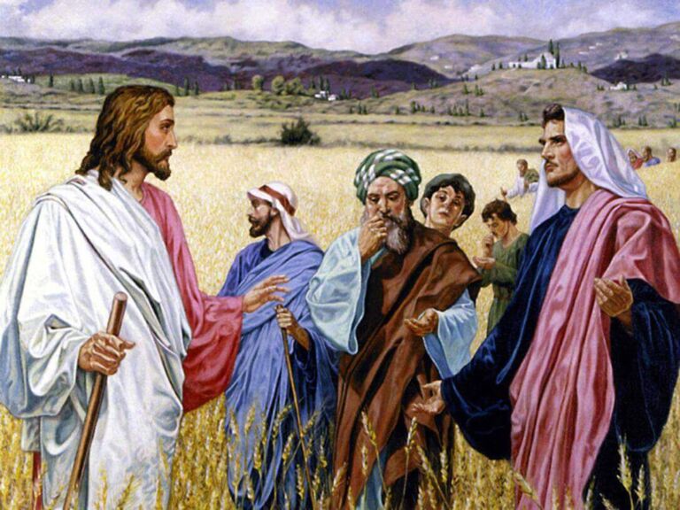 15º Domingo do Tempo Comum